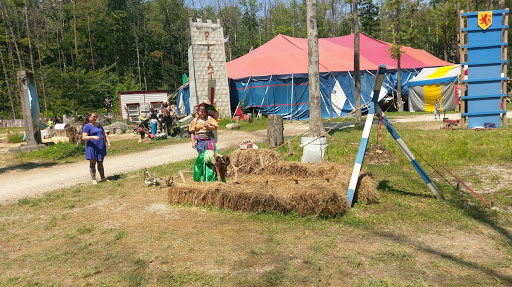 Tourist Attraction «The Great Lakes Medieval Faire», reviews and photos, 3033 OH-534, Rock Creek, OH 44084, USA