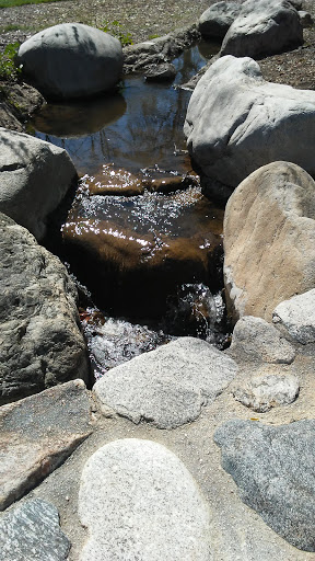 Descanso Gardens image