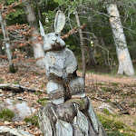 Photo n°4 de l'avis de A. fait le 25/12/2023 à 20:59 sur le  Hotel Sulfner à Santa Caterina