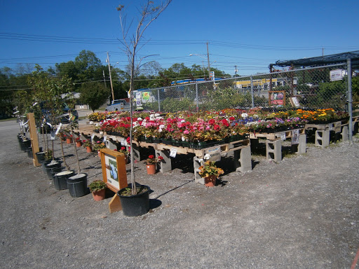 Pet Supply Store «CountryMax - Batavia», reviews and photos, 610 E Main St, Batavia, NY 14020, USA