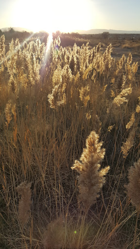 Golf Course «Walking Stick Golf Course», reviews and photos, 4301 Walking Stick Blvd, Pueblo, CO 81001, USA