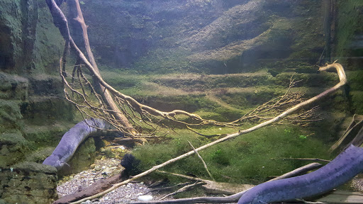 Aquarium «Belle Isle Aquarium», reviews and photos, 900 Inselruhe Ave, Detroit, MI 48207, USA