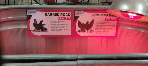 Home Improvement Store «Tractor Supply Co.», reviews and photos, 3350 N Central Expy, McKinney, TX 75071, USA