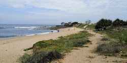 Zdjęcie Angourie Back Beach położony w naturalnym obszarze