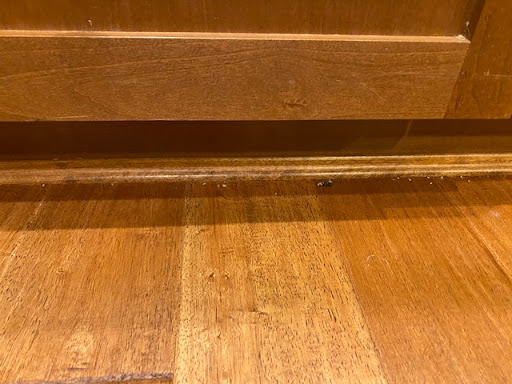 Cleaning Service «Nikis Cleaning Services», reviews and photos, 9280 SW Bailey St, Wilsonville, OR 97070, USA