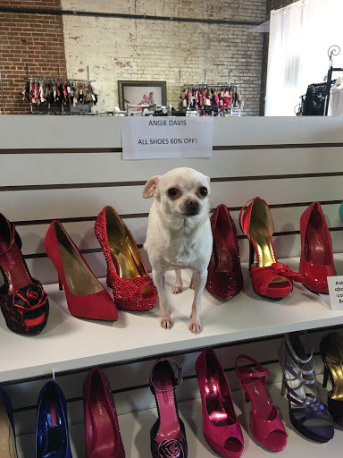 Photography Studio «ANGIE DAVIS», reviews and photos, 1131 Front St, Conway, AR 72032, USA