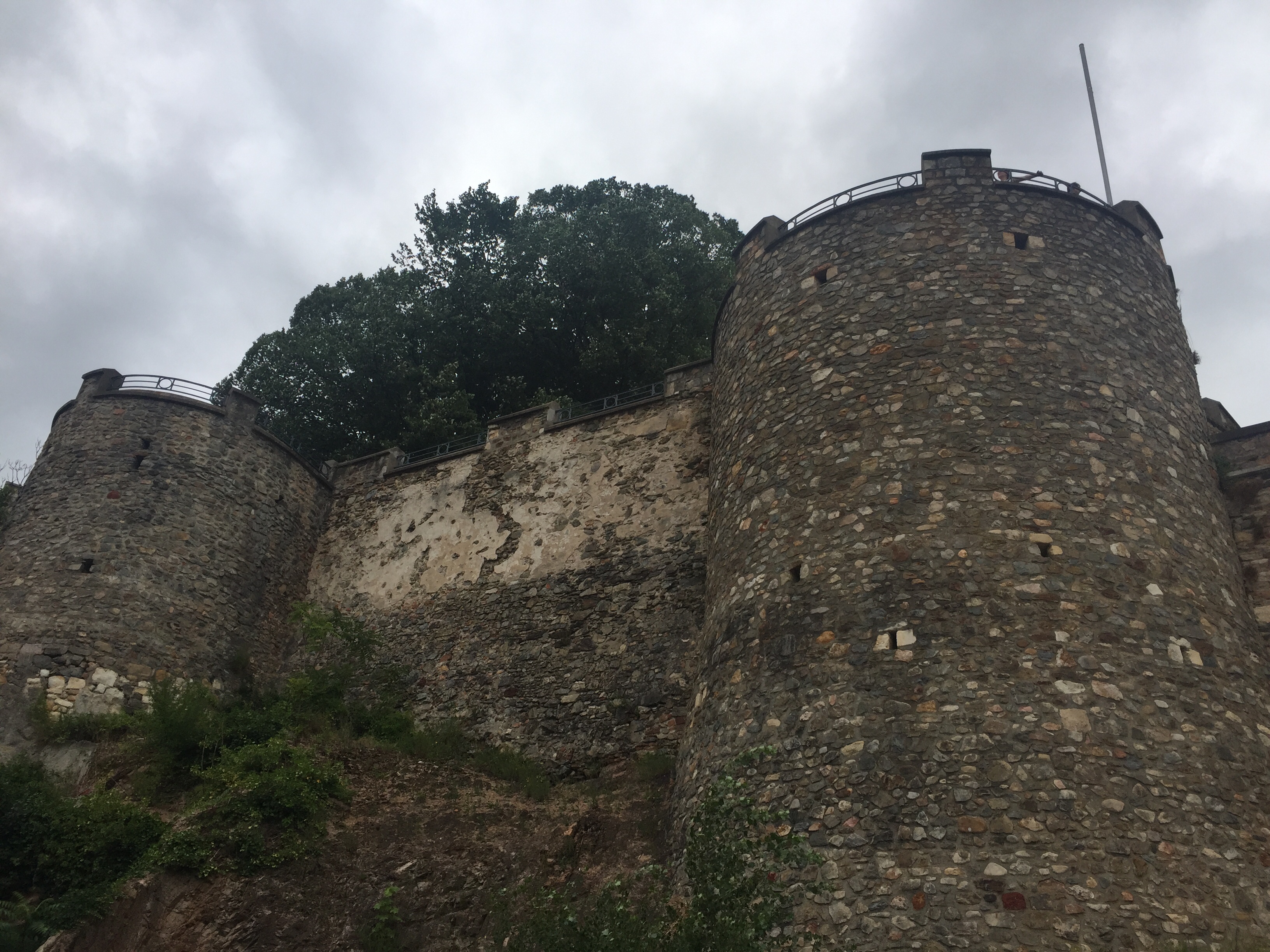 Photo n° 4 de l'avis de Willy. fait le 17/07/2017 à 11:18
