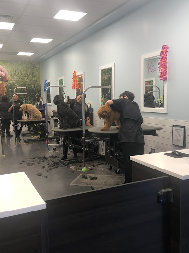 Pet Supply Store «PetSmart», reviews and photos, 310 NJ-36, West Long Branch, NJ 07764, USA