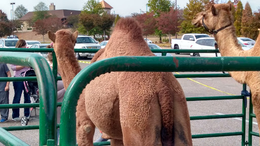 Home Improvement Store «The Home Depot», reviews and photos, 2710 Legends Pkwy, Prattville, AL 36066, USA