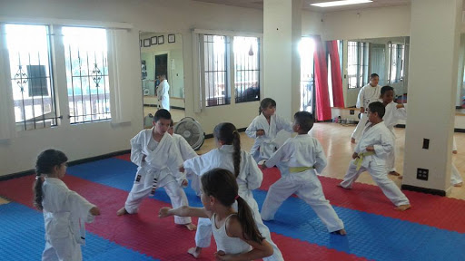 Budo Zone: Physical Fitness, Martial Arts School, Self Defense School, Karate Do School