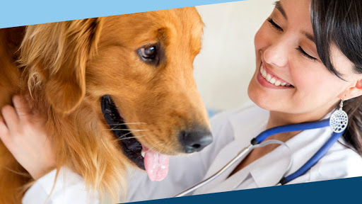 North Road Animal Hospital image