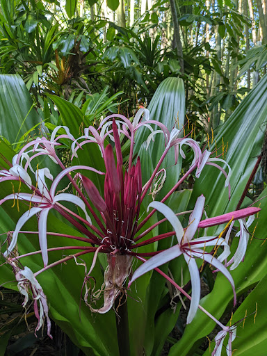 Pet Supply Store «Animal Kingdom of Santa Monica», reviews and photos, 300 Pico Blvd, Santa Monica, CA 90405, USA