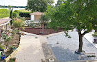 Les glycines Saint-Nicolas-de-la-Grave