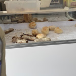 Photo n°9 de l'avis de Cathe. fait le 17/09/2022 à 14:42 sur le  Delicias do Minho à Valença
