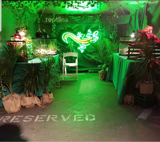 Reptile Store «Paramount Pet Entertainment - Reptile Parties & more!», reviews and photos, 8055 Rosecrans Ave #107, Paramount, CA 90723, USA