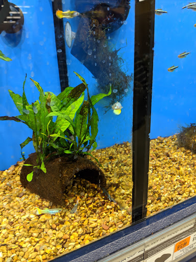 Pet Supply Store «Petco Animal Supplies», reviews and photos, 11 Cornerstone Square #200, Westford, MA 01886, USA