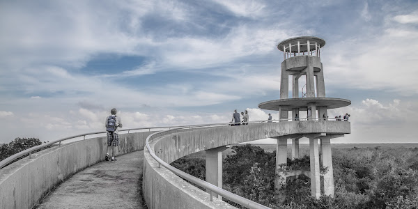 Shark Valley Observation Tower