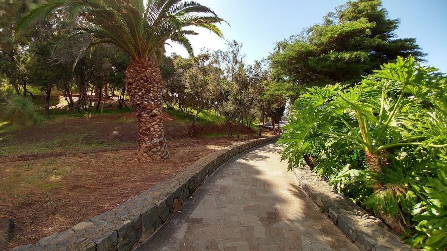 Parque El Pinar