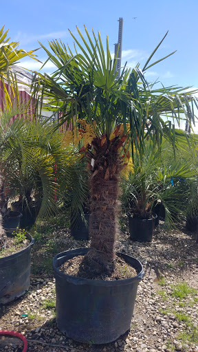 Landscaper «Landscape Source», reviews and photos, 167 Ole W Ln, Rockwall, TX 75087, USA