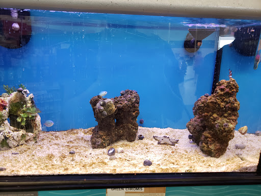 Pet Supply Store «Petco Animal Supplies», reviews and photos, 1660 Orchard Gateway Blvd, North Aurora, IL 60542, USA