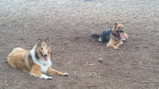 Dog Park «Bassett Creek Dog Park», reviews and photos, 32nd Ave N, Crystal, MN 55422, USA