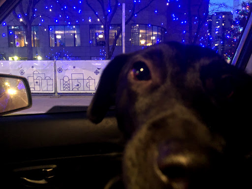 Florist «Secret Garden», reviews and photos, 1512 Larimer St, Denver, CO 80202, USA