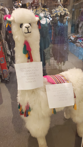 Shopping Mall «Oakdale Mall», reviews and photos, Harry L Dr #601-635, Johnson City, NY 13790, USA