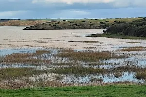 The Estuary Bird Watching Area image