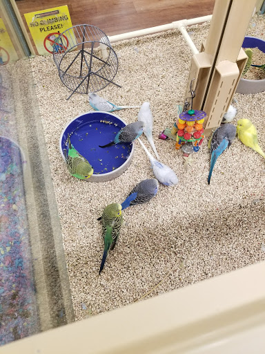 Pet Supermarket, 226 W 23rd St, Panama City, FL 32405, USA, 