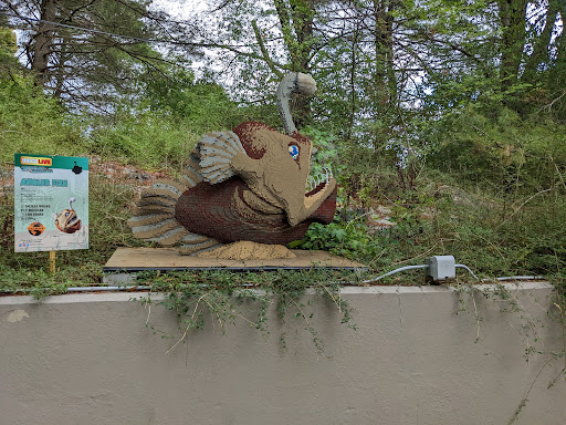 Zoo «Stone Zoo», reviews and photos, 149 Pond St, Stoneham, MA 02180, USA