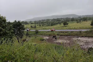 View Point Forest Dept. image