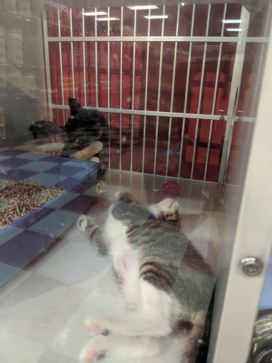 Pet Store «PetSaver Healthy Pet Superstore (Greece Location)», reviews and photos, 1596 W Ridge Rd, Rochester, NY 14615, USA