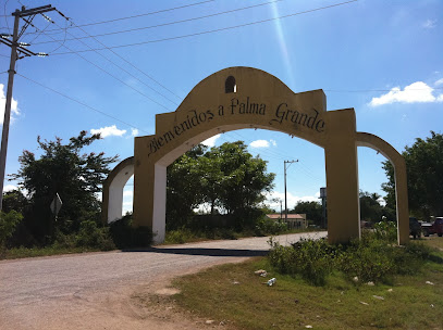 Palma Grande A La Entrada Del Pueblo N/A, 63660 Tuxpan, Nay. Mexico