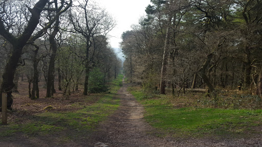 Trail Stoke-on-Trent