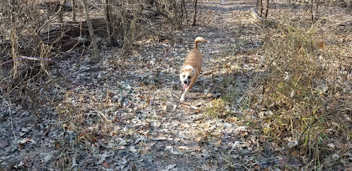 Park «Mather Woods Forest Preserve», reviews and photos, 25032 W Renwick Rd, Plainfield, IL 60544, USA