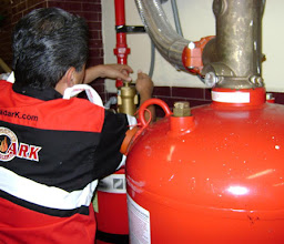 GADARK, SA de CV photo