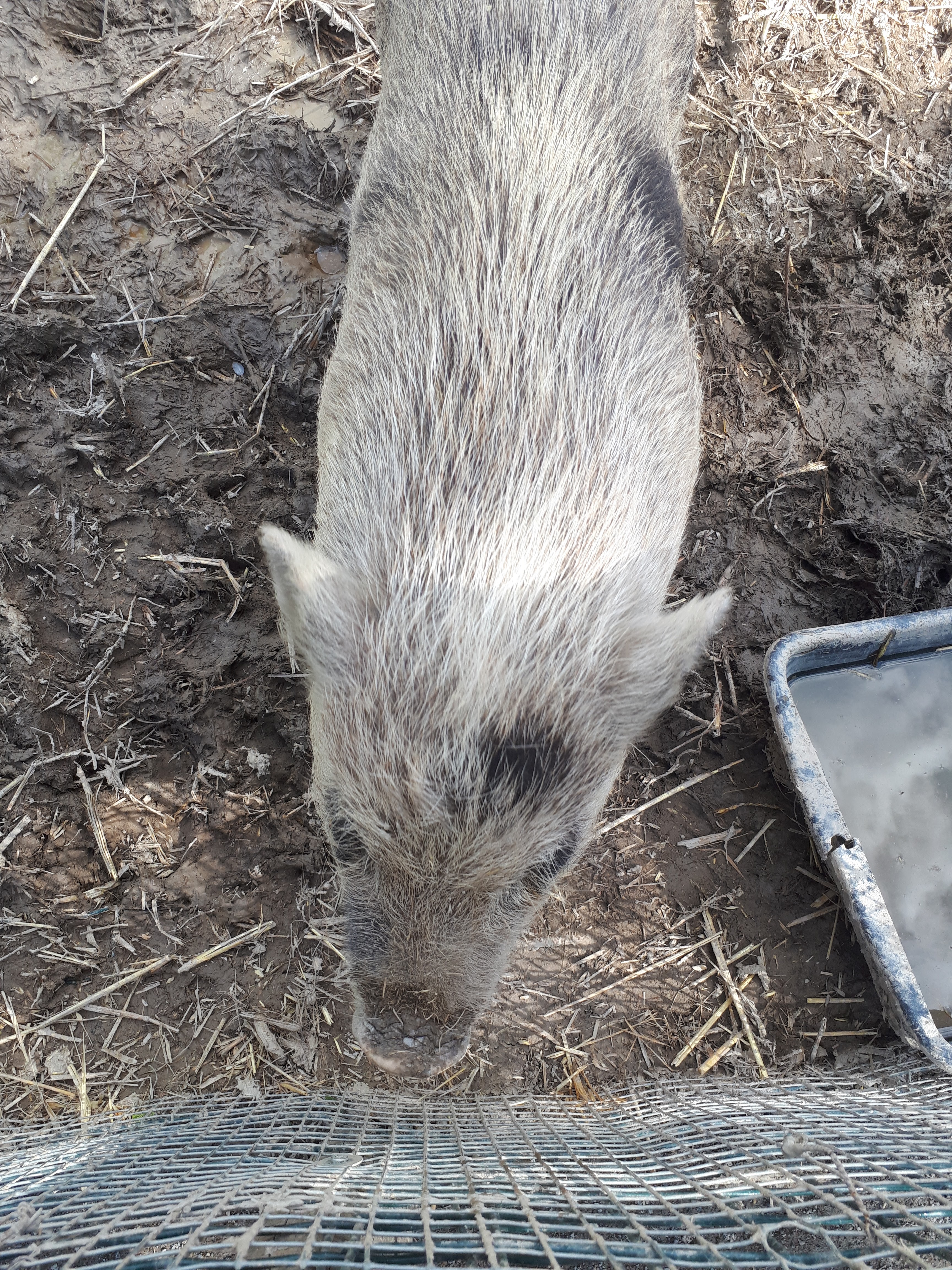 Photo n° 14 de l'avis de Nath.� fait le 16/05/2018 à 21:32