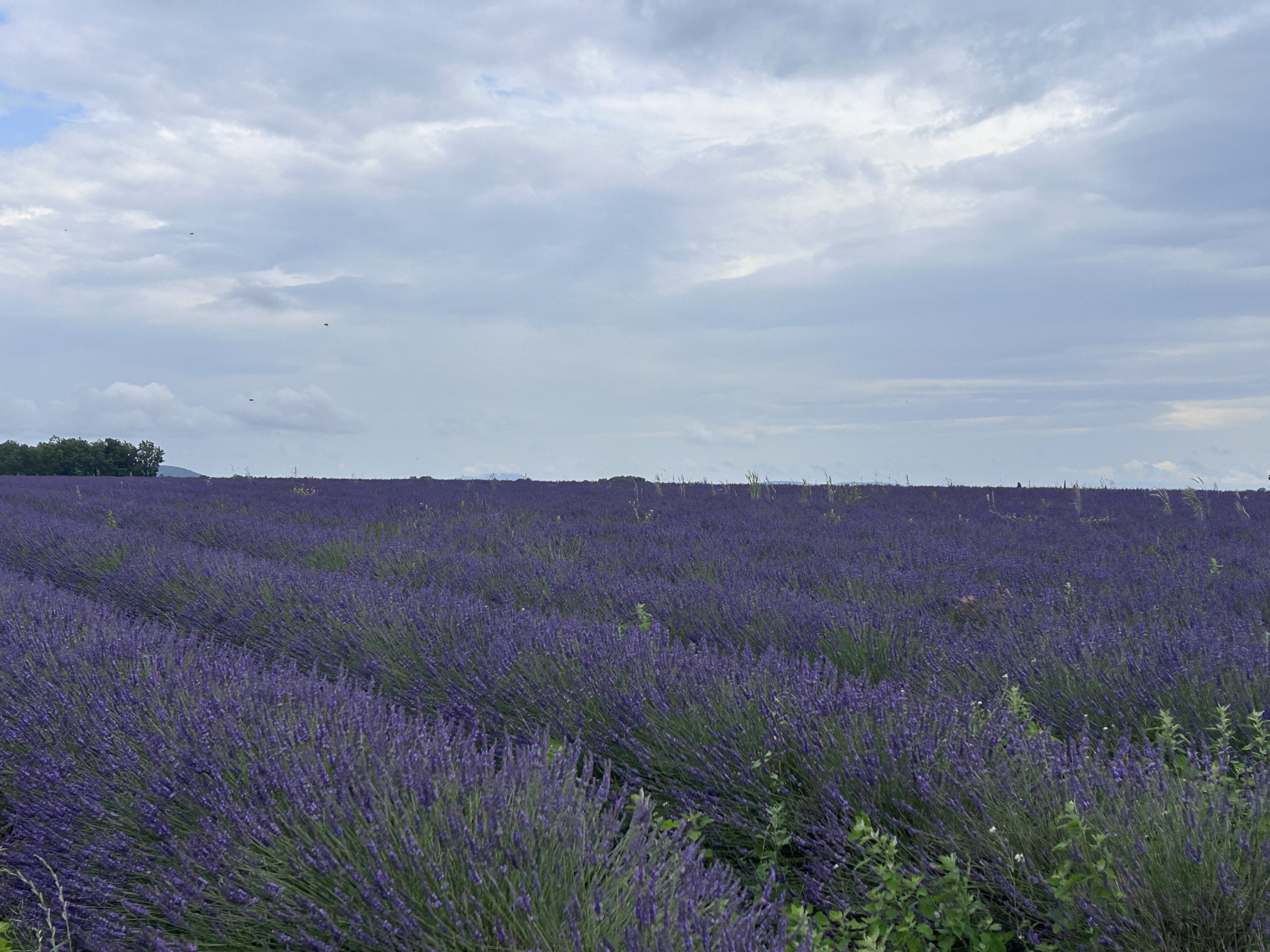 Photo n° 6 de l'avis de Shunan.h fait le 30/06/2023 à 18:25