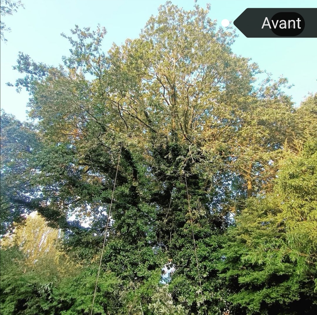 Photo n° 1 de l'avis de MAULAVE.A fait le 05/10/2021 à 09:33