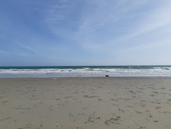 Photo de Bac Van beach situé dans une zone naturelle