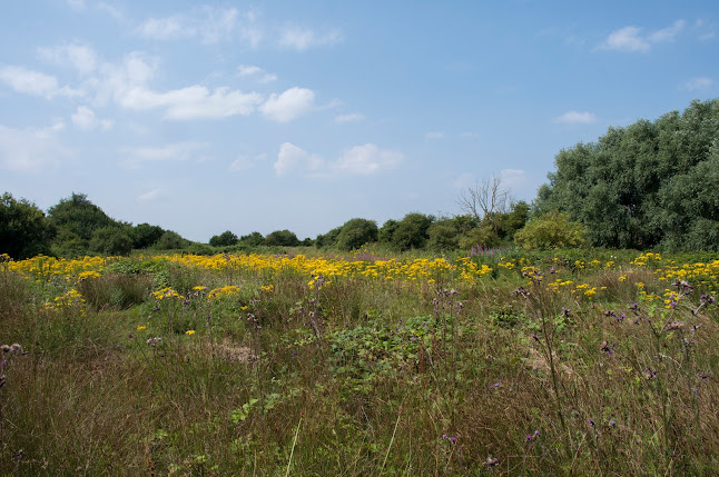Reviews of Brandon Marsh Nature Reserve in Coventry - Other