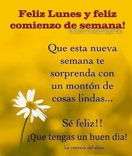 Liquor Store «Edina Liquor - Grandview», reviews and photos, 5013 Vernon Ave S, Edina, MN 55436, USA