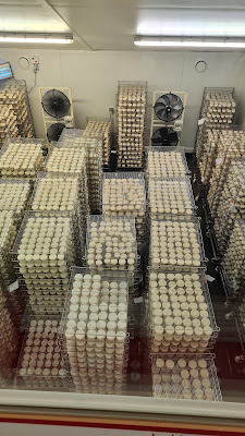 Fromagerie Peytot à Planzolles