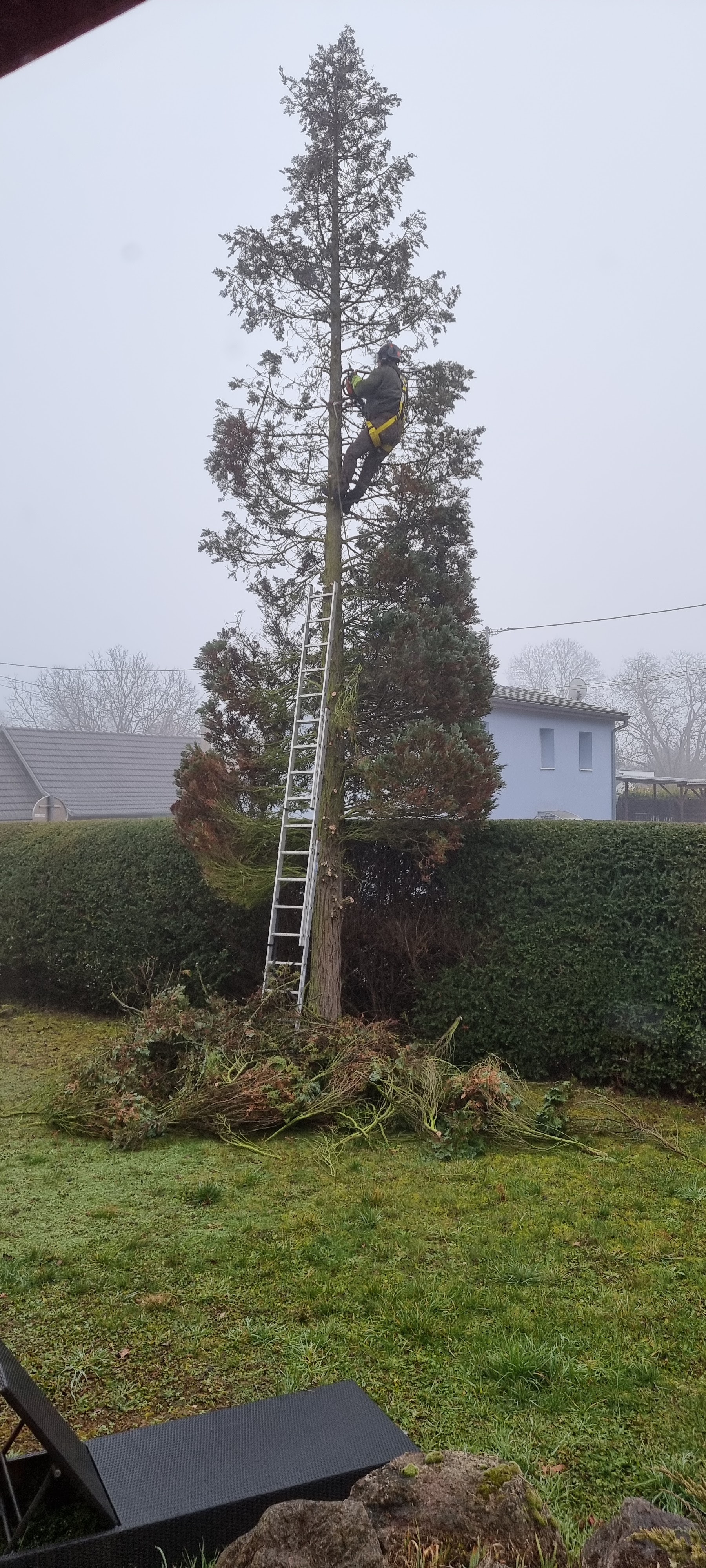 Photo n° 2 de l'avis de 67.r fait le 14/02/2023 à 10:52