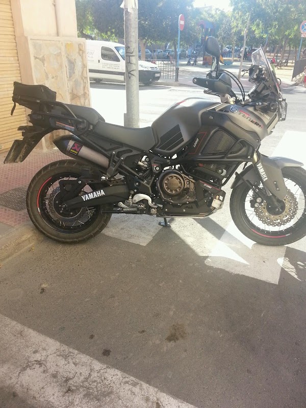 Carpinteros Alicante