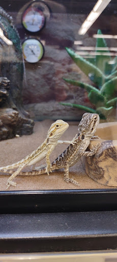 Department Store «Marshalls», reviews and photos, 3055 Columbia Blvd #115, Titusville, FL 32780, USA