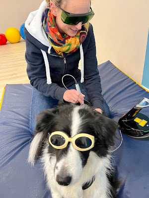 "Physio Vet’Ostéo du Léman" à Marin