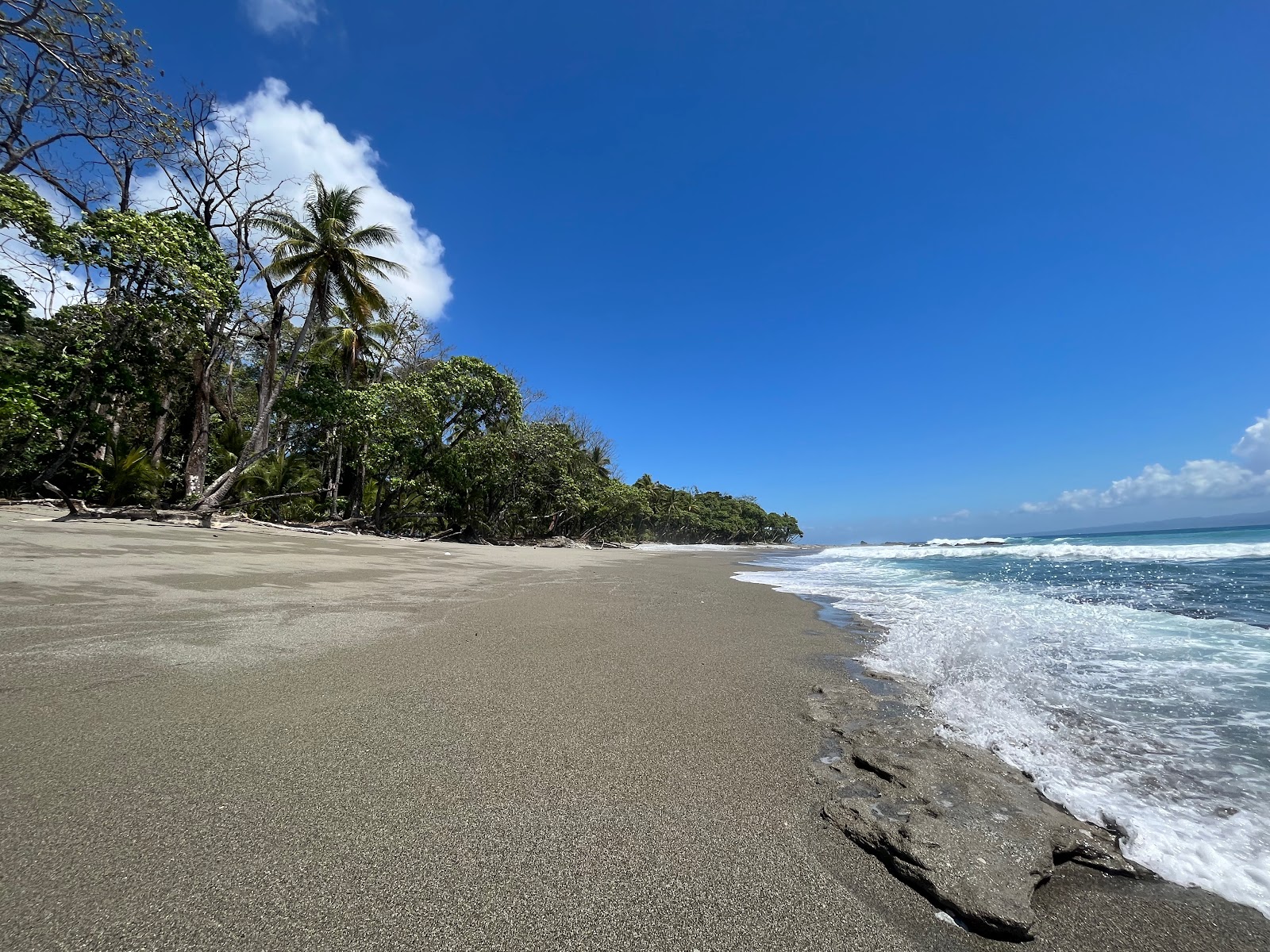 Playa Matapalo II'in fotoğrafı doğal alan içinde bulunmaktadır