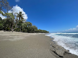 Playa Matapalo II'in fotoğrafı doğal alan içinde bulunmaktadır