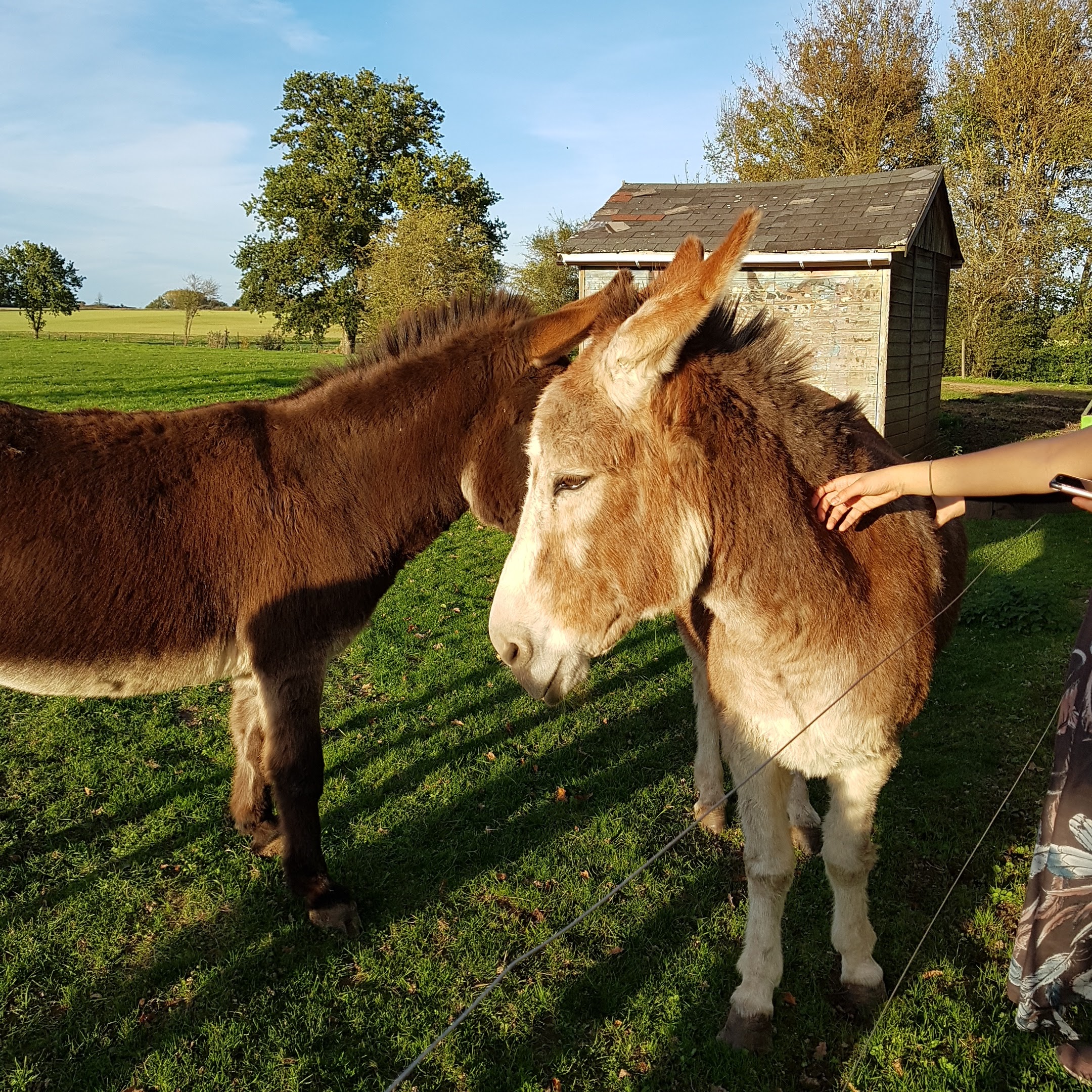 Photo n° 1 de l'avis de Catherine.u fait le 12/11/2019 à 06:20